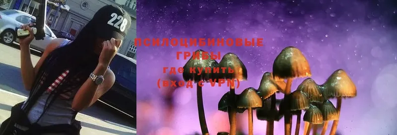 Псилоцибиновые грибы Cubensis  что такое наркотик  Калязин 